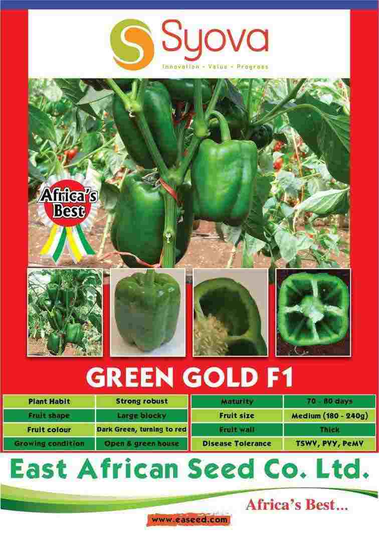 Green Gold F1 – Pepper, High yielding variety with excellent fruit set 